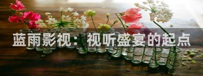 草民午夜影院：蓝雨影视：视听盛宴的起点