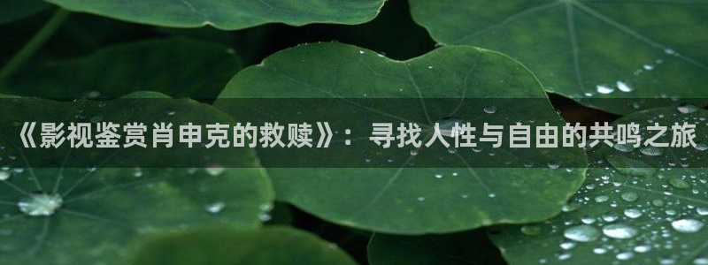 草民琪琪电影院：《影视鉴赏肖申克的救赎》：寻找人性与自由的共鸣之旅