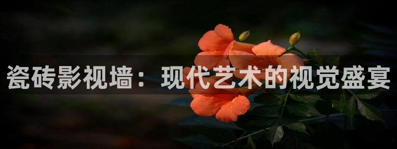 草民网：瓷砖影视墙：现代艺术的视觉盛宴