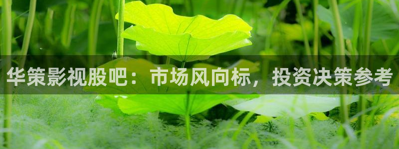 草民影院在线观看：华策影视股吧：市场风向标，投资决策参考