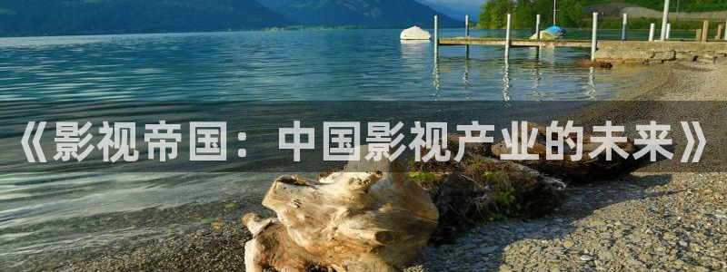 看一天影院草民宅急：《影视帝国：中国影视产业的未来》