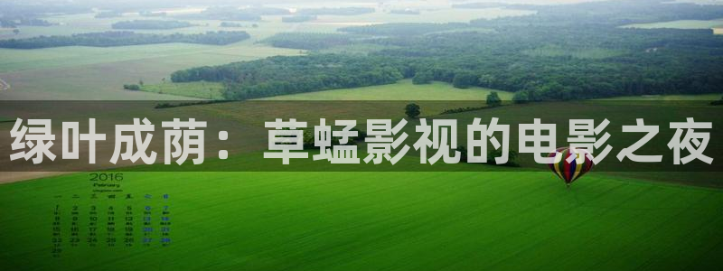 草民电视网：绿叶成荫：草蜢影视的电影之夜