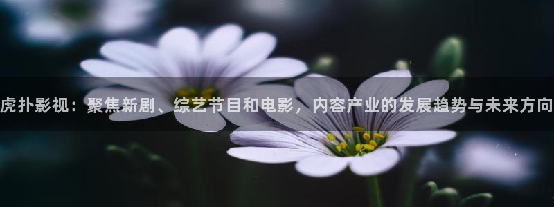 神马影院草民电影网：虎扑影视：聚焦新剧、综艺节目和电影，内容产业的发展趋势与未来方向
